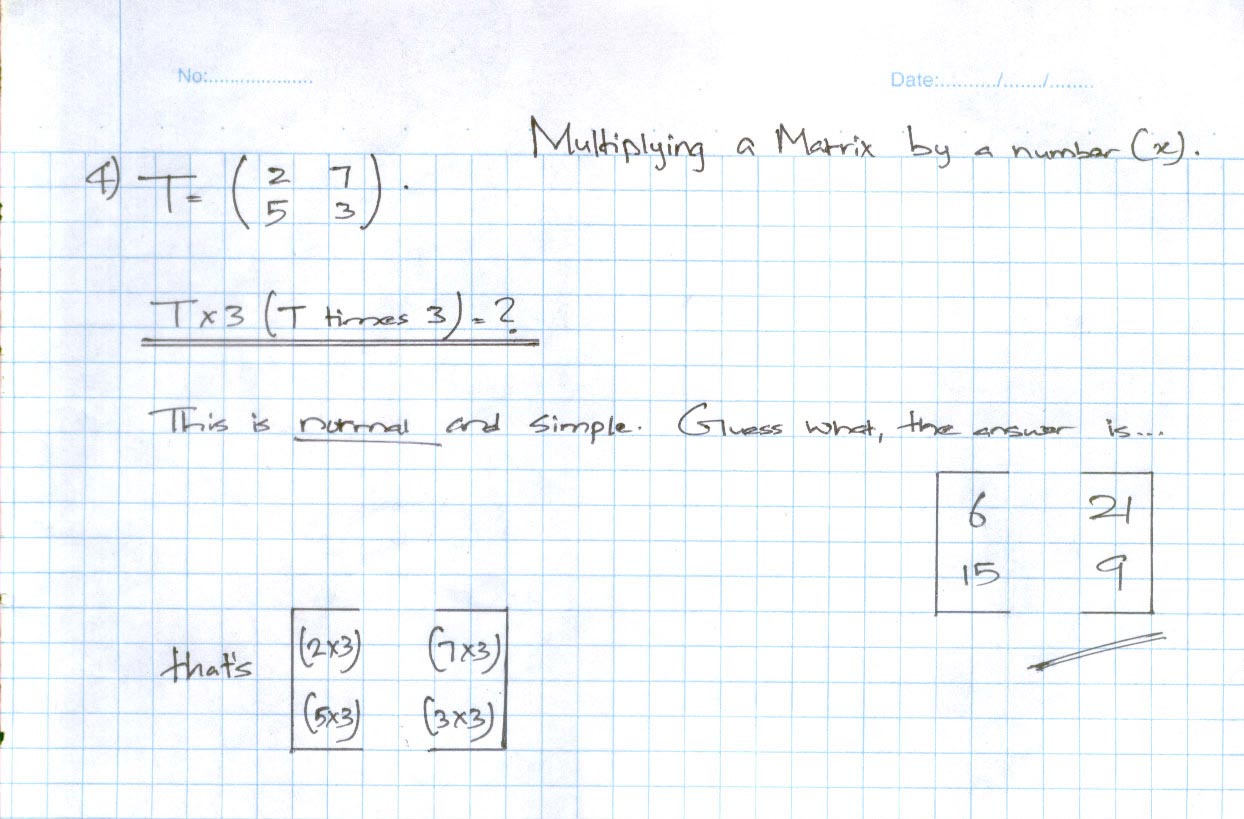 Multiplying a Matrix by a number (x)